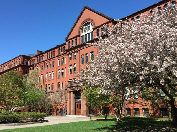 HMNH_exterior-blooming