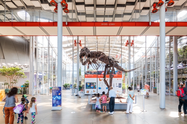 CAS_lobby-t-rex