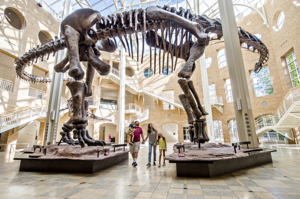 FB_dino-skeleton_HERO