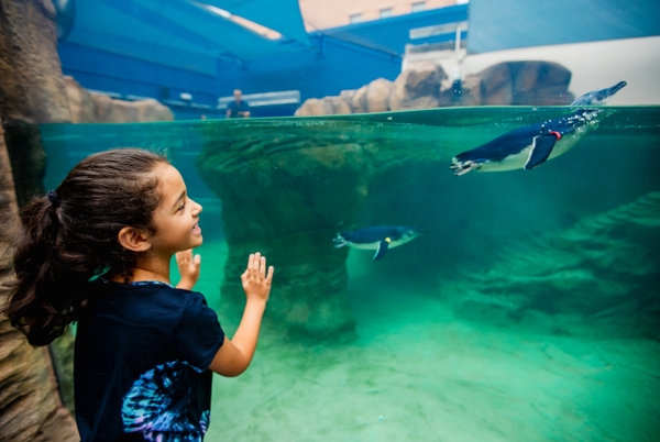 BirchAquarium_LBL-June2022-137