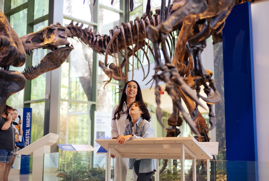 Witte_dinosaurs