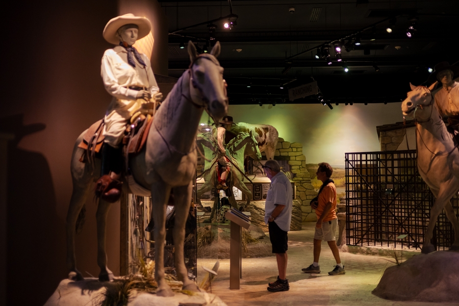 Witte_Texas-gallery