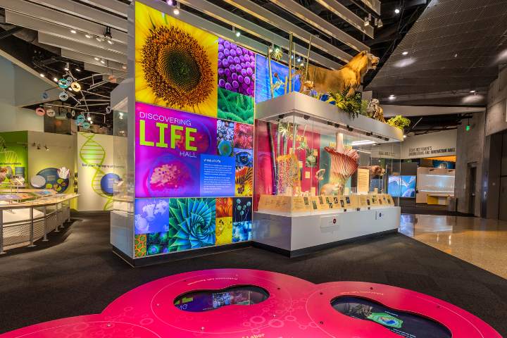 Perot_life