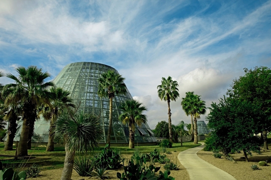 SABG_conservatory