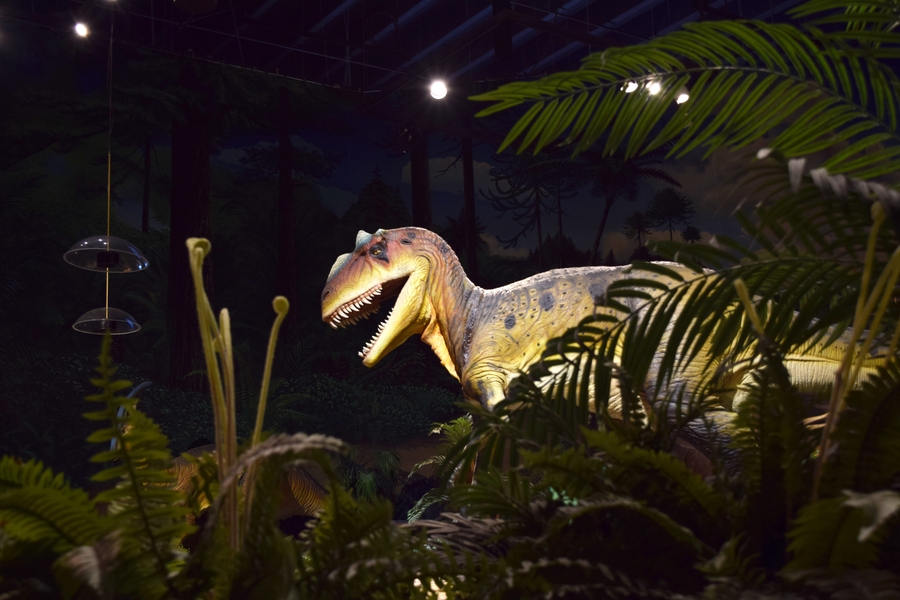 PacSci - Dinos - DeFrate05_EDIT