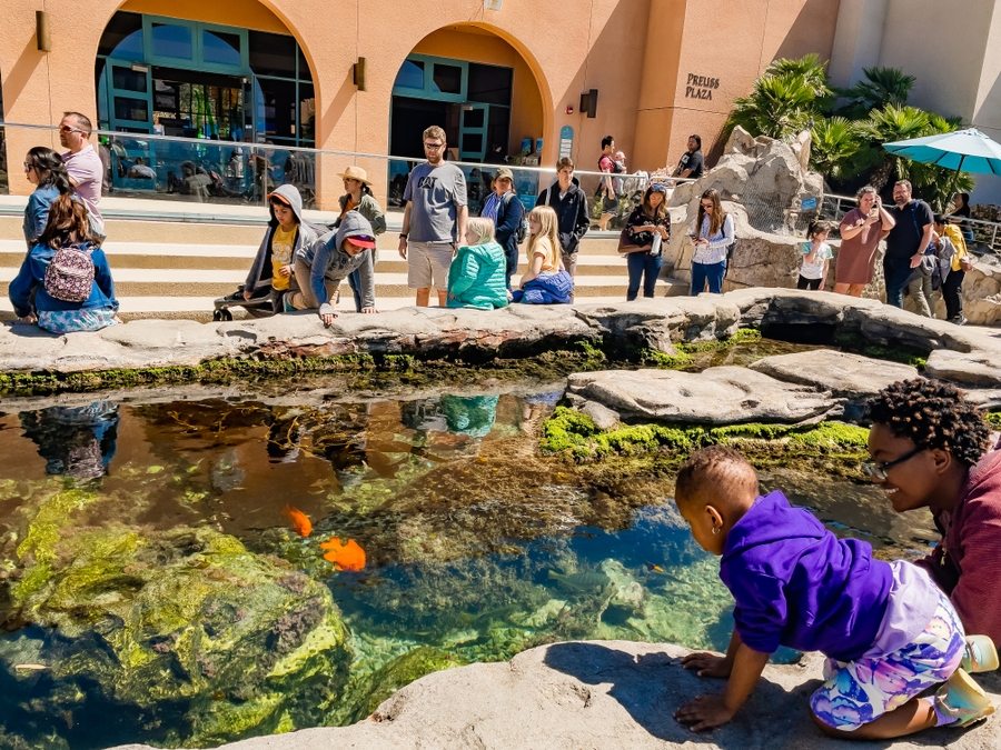 BirchAquarium_TidepoolPlaza-7632