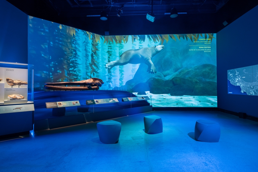 NHMLA_LA-Underwater