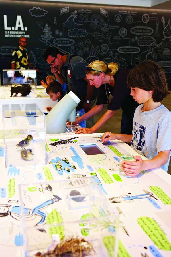 NHMLA_NatureLab