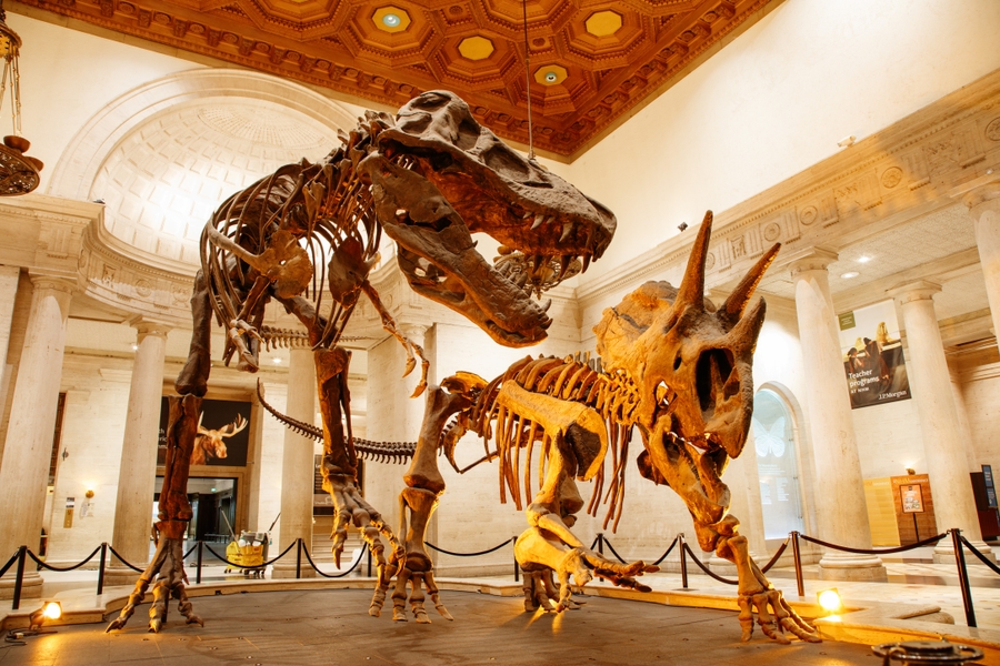 NHMLA_dueling-dinos_HERO