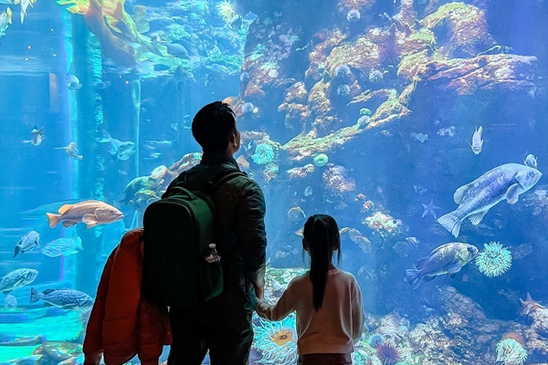 Aquarium