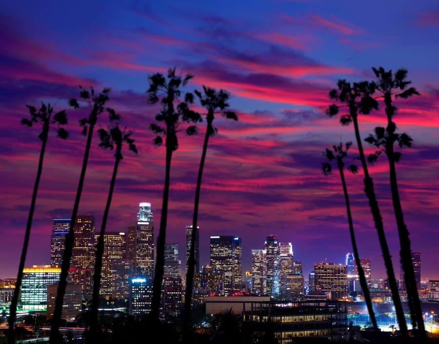 Starline_palm-trees