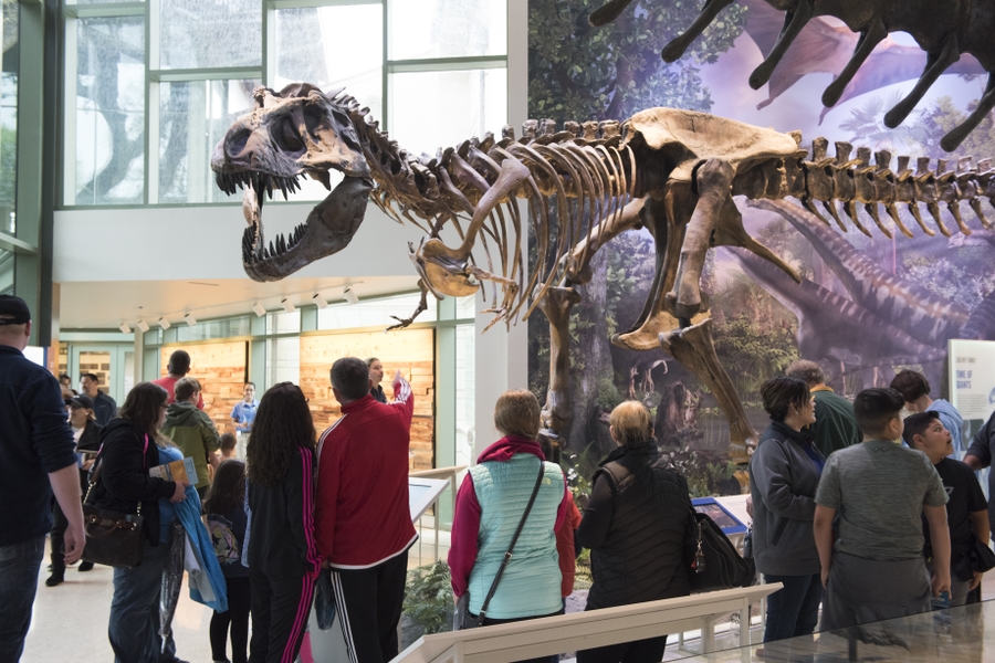 Witte_Cretaceous