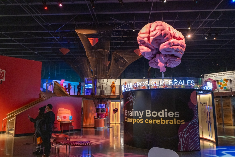 PacSci_brain