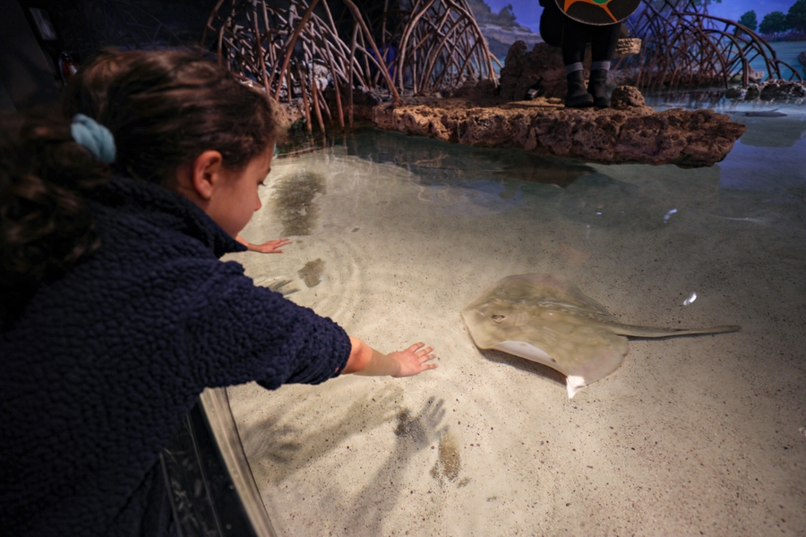 NEA_touch-tank