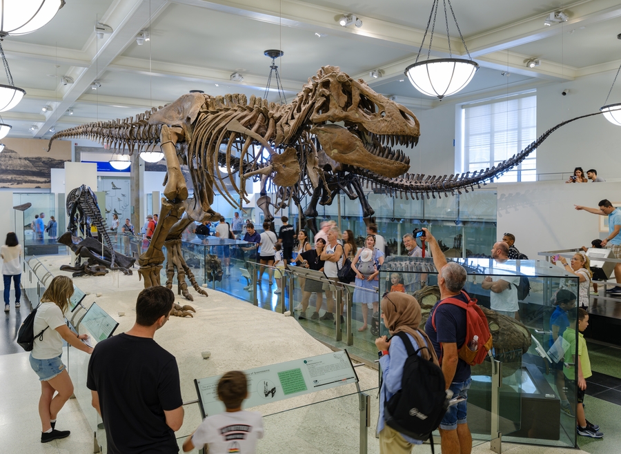 AMNH_T-rex_HERO