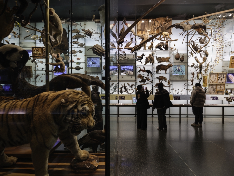 AMNH_biodiversity