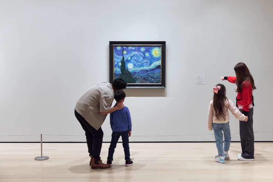 MoMA_TheStarryNight