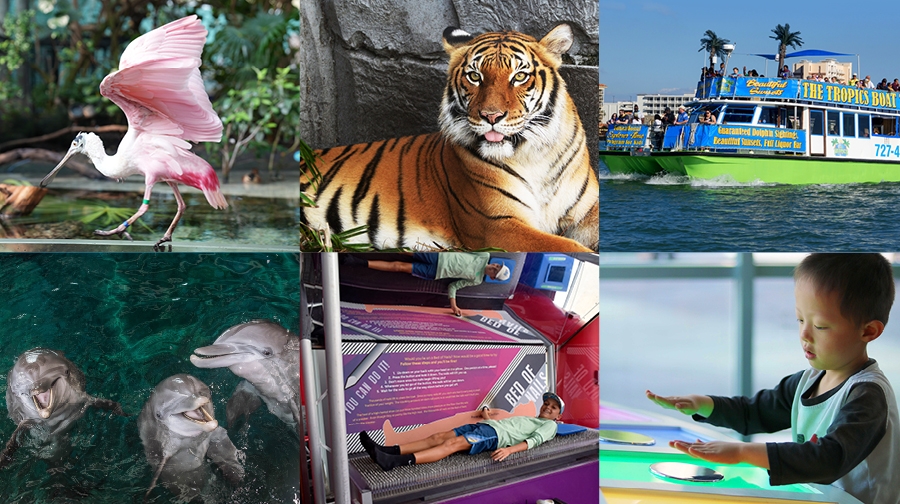 New Tampa Bay C3® by CityPASS® Ticket Gives Visitors a New Way to Explore the Region