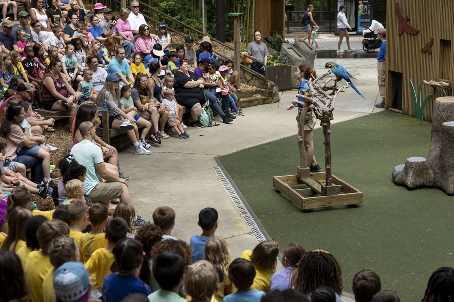 ZooAtl_bird-show