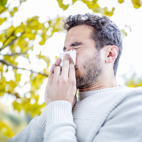 allergies cold flu sneeze