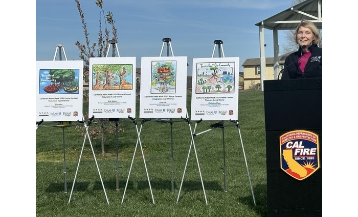 “Trees Play a Crucial Role in Public Health”: Blue Shield Celebrates California Arbor Week