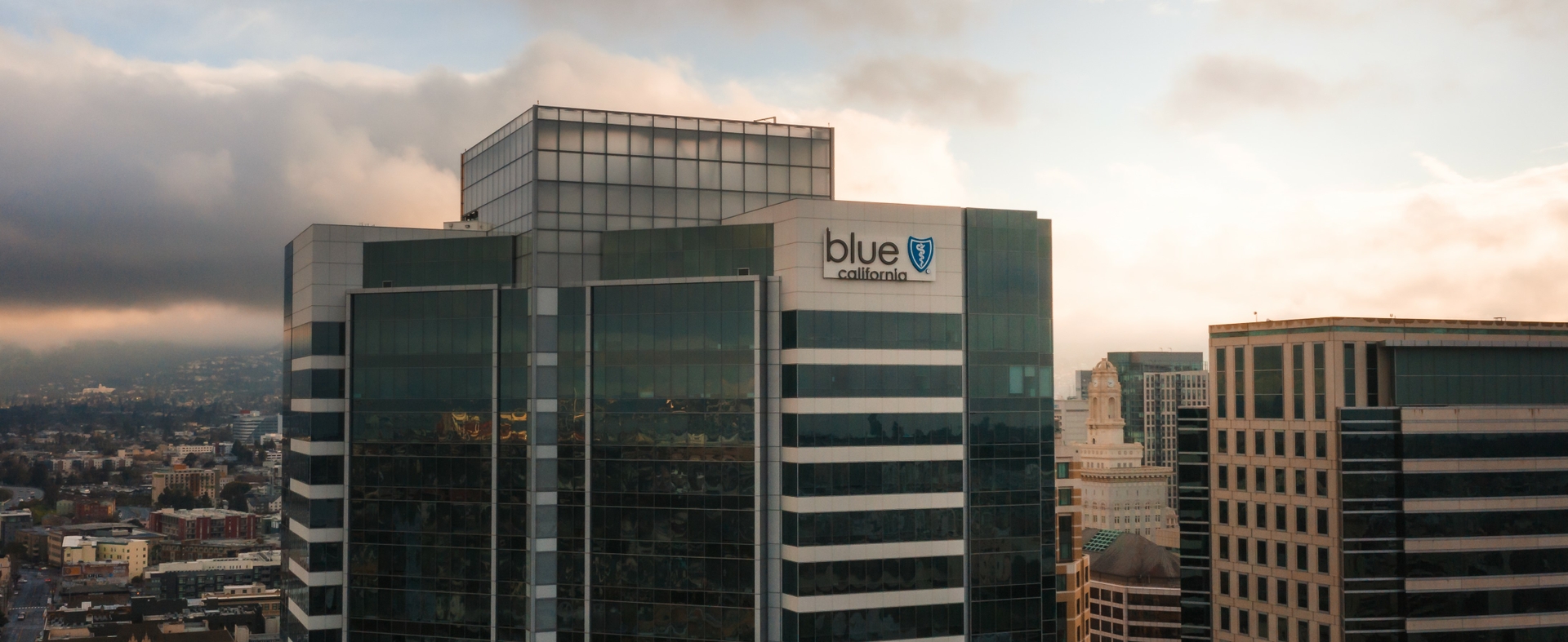 View our job opportunities