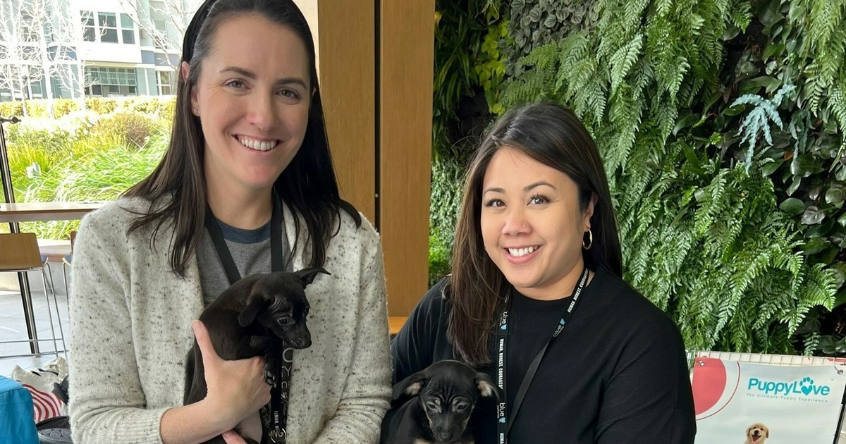  How Blue Shield celebrated Employee Appreciation Week