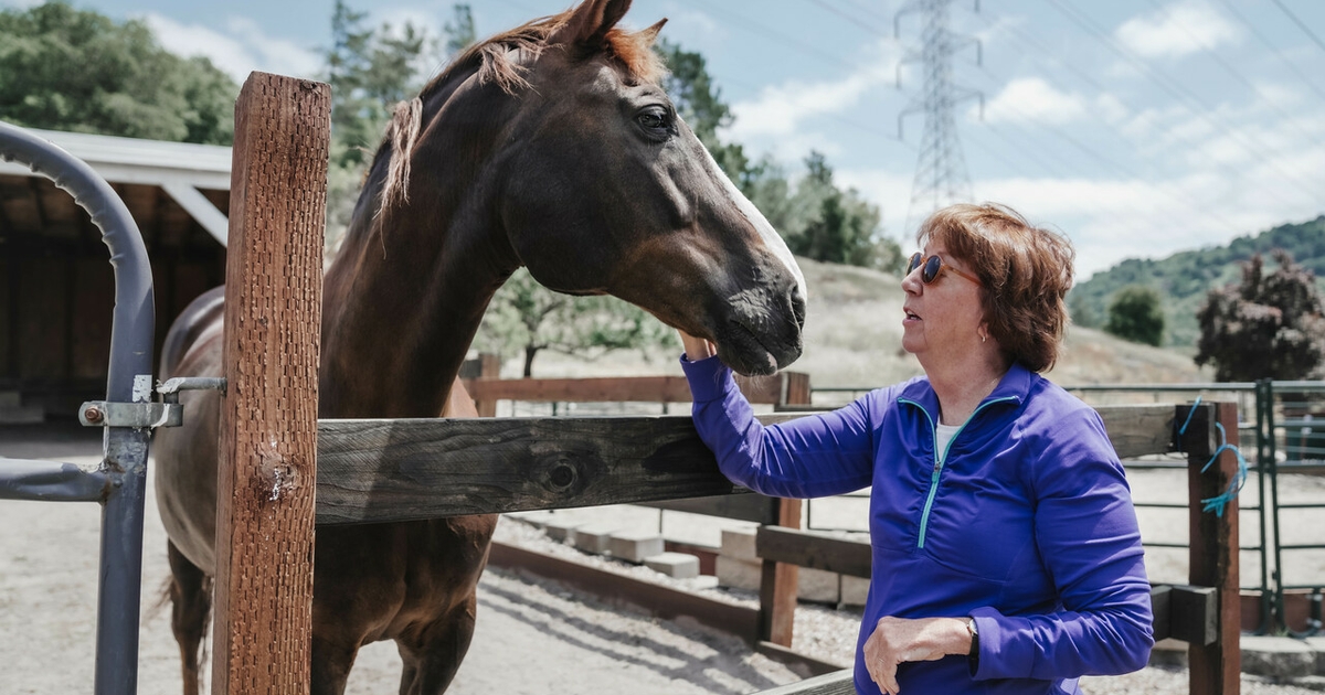 A therapy horse transforms the lives of disabled children and adults