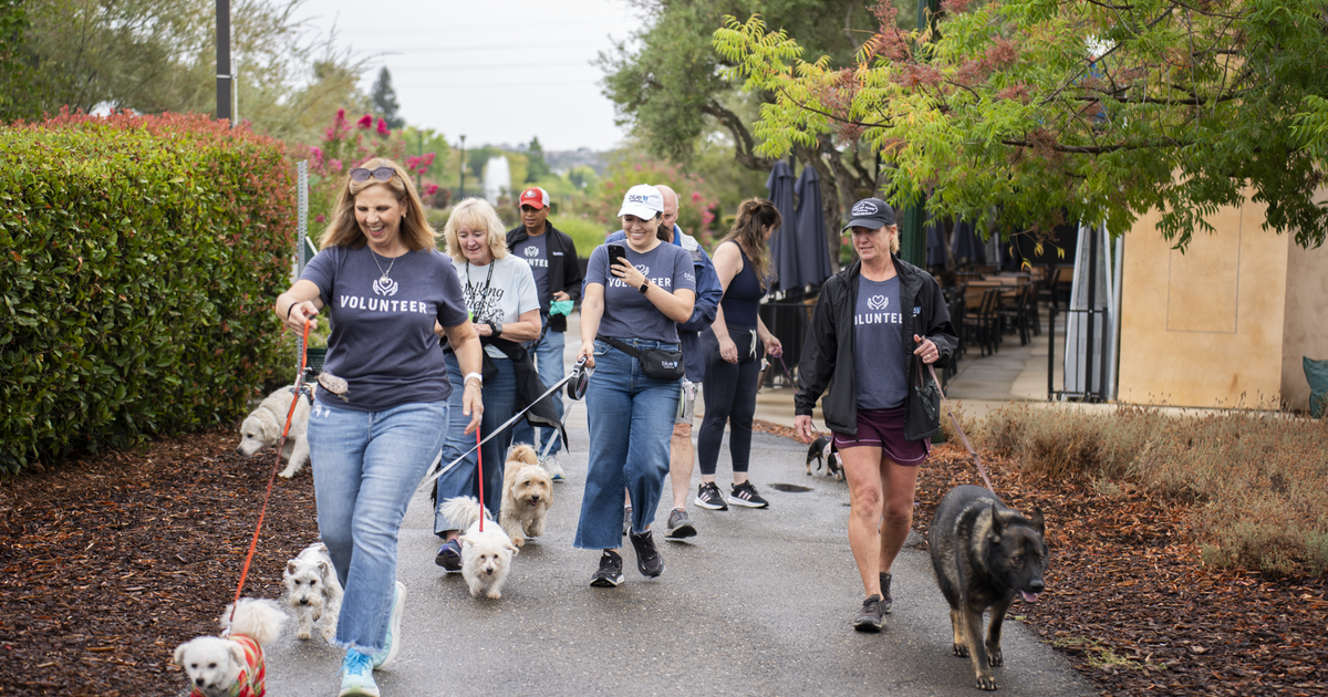 Hundreds of Blue Shield Employees — and Their Pets — Join Forces with Pet Partners for the World’s Largest Pet Walk