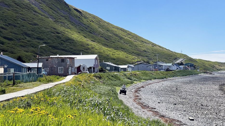 King Cove photo 2023-2