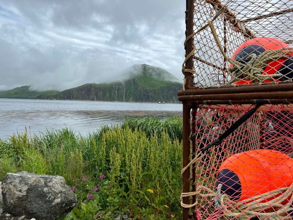Unalaska buoys