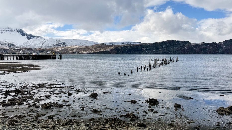 Chignik Bay shoreline