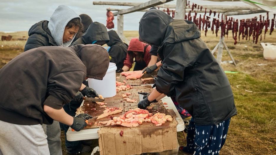 AEF Culture Camp