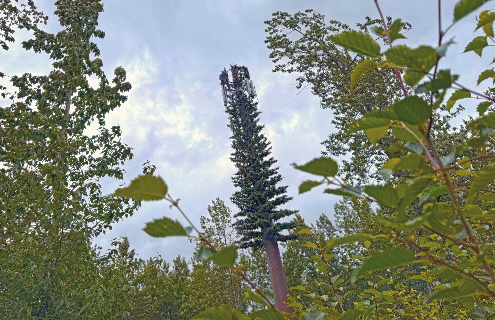 GCI-Portage-Valley-5G-Wireless-Site
