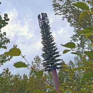 GCI strengthens mobile connectivity on Alaska’s road system