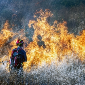 Wildfires Are Rising Nationwide, Leaving Homeowners More Exposed to Insurance Risk