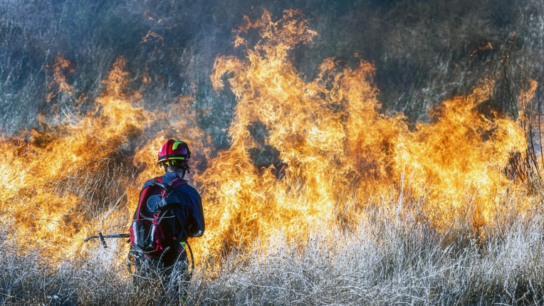 GettyImages-1272683537