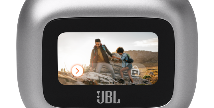 03.JBL_Live Flex 3_Case Top_Silver
