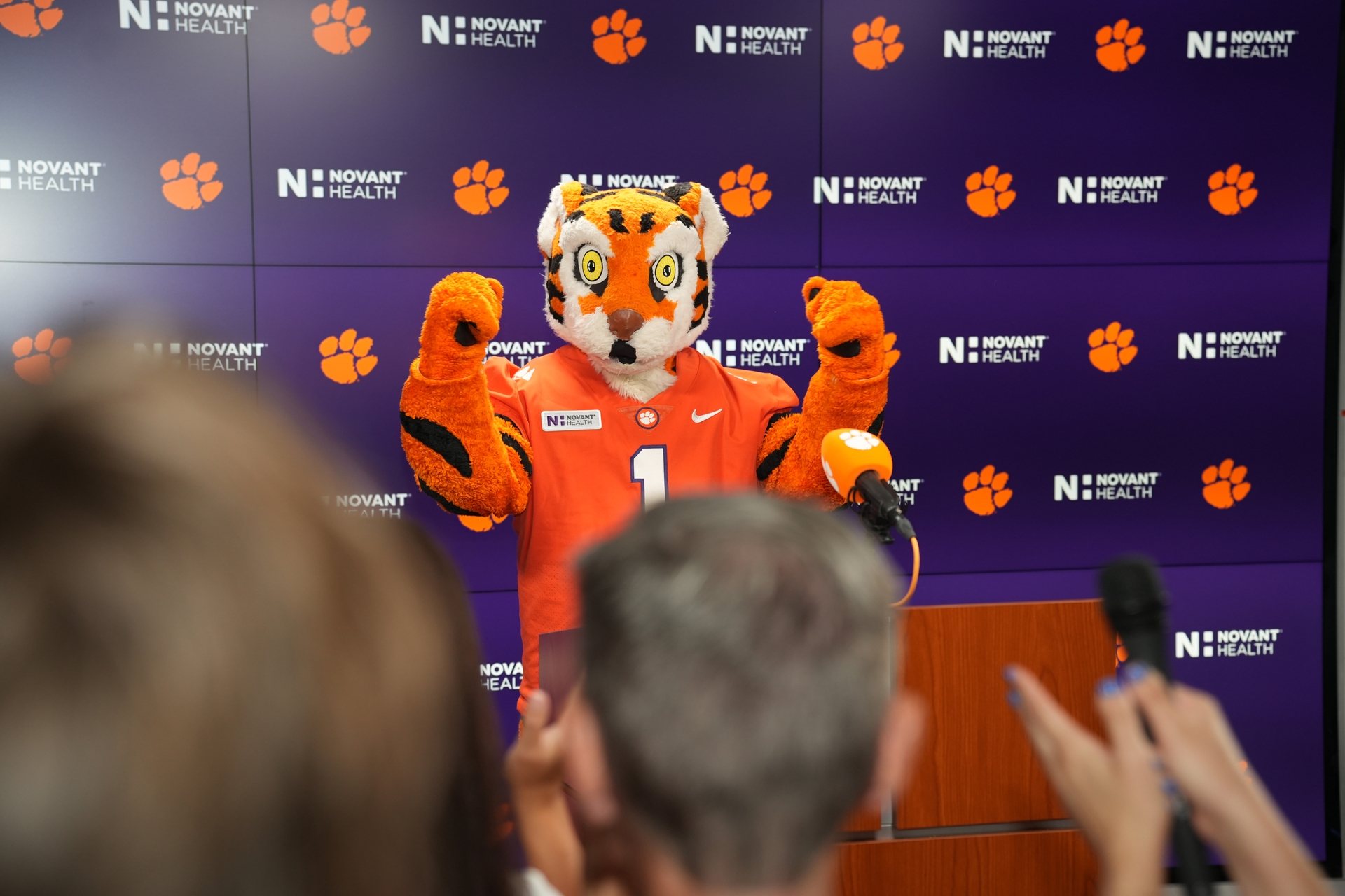 Tiger Mascot-Novant Patch