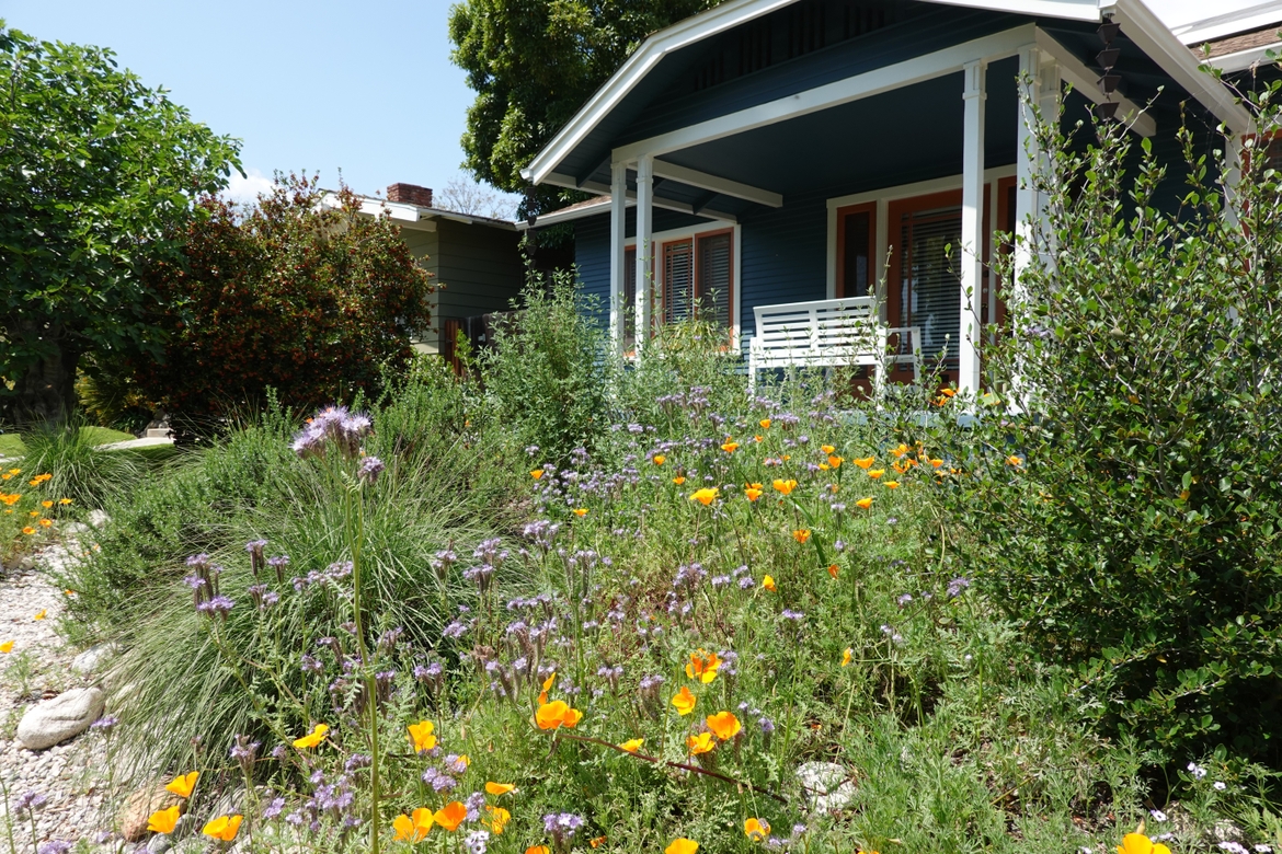 California native garden in front of a house with a porch