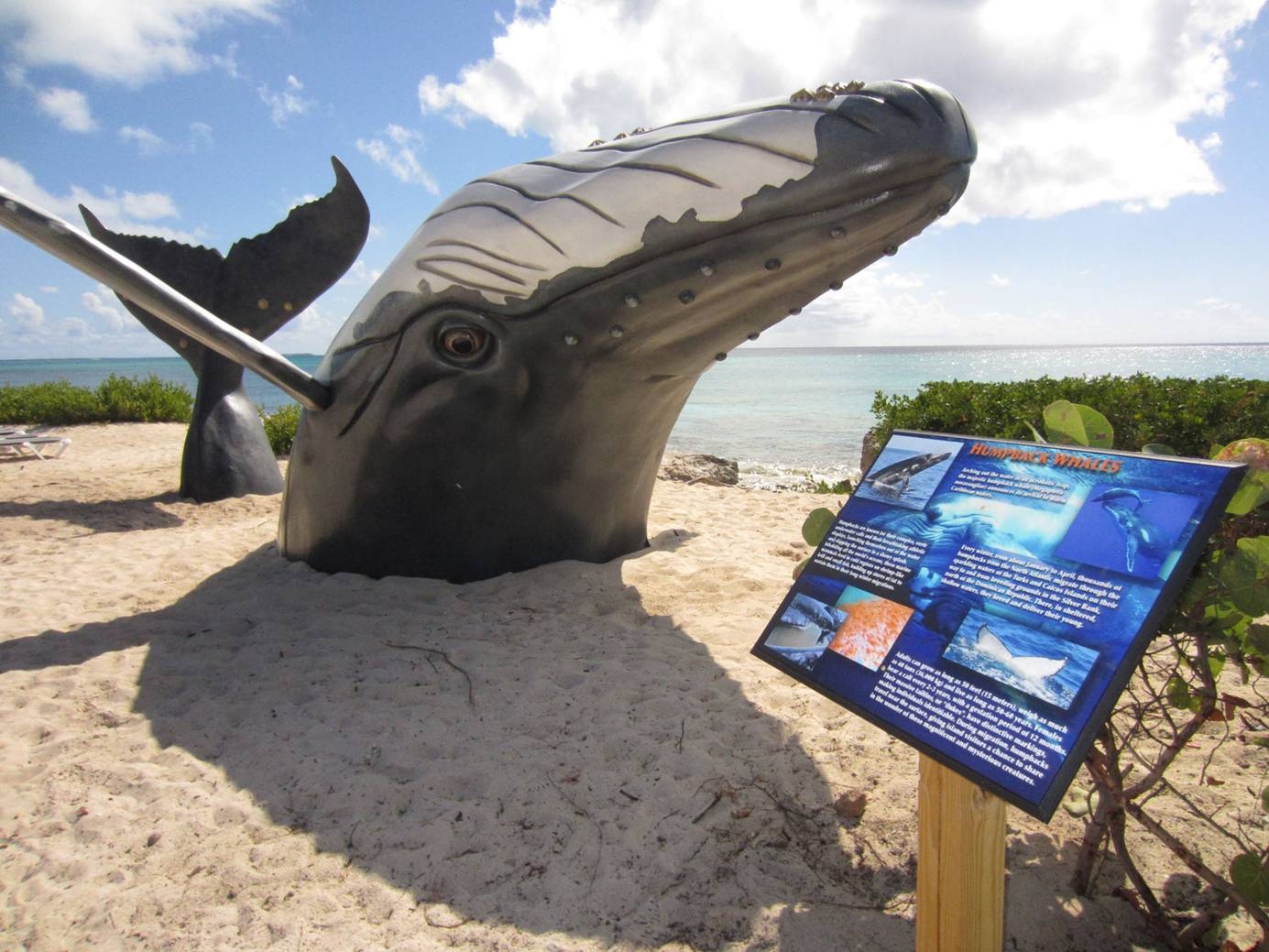 Visitors to the Grand Turk Cruise Center (GTCC) are greeted by a whale of a sculpture! 
