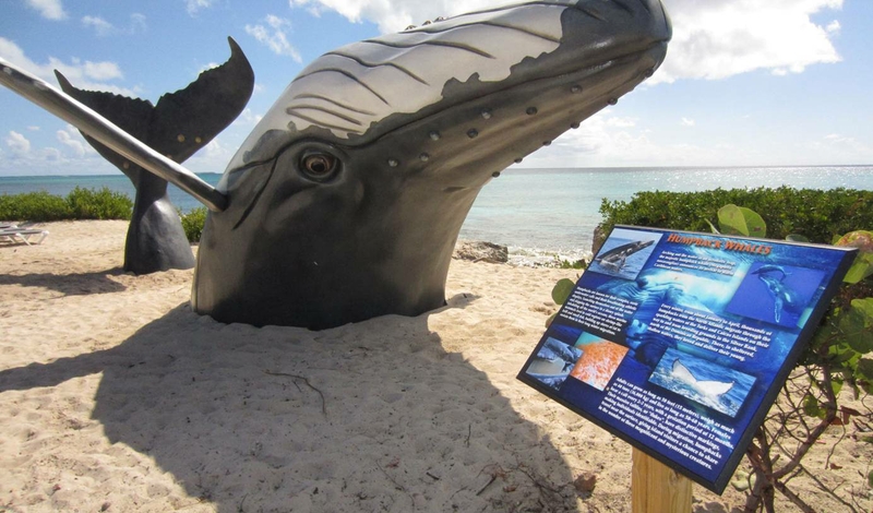 Visitors to the Grand Turk Cruise Center (GTCC) are greeted by a whale of a sculpture! 