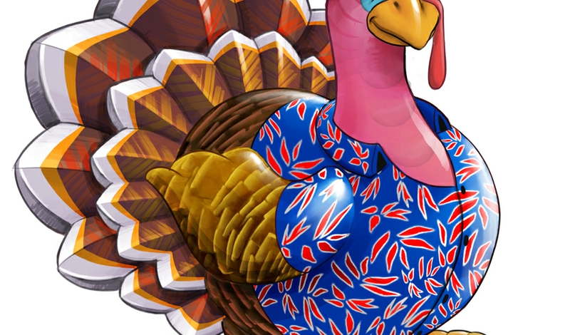 turkey_color