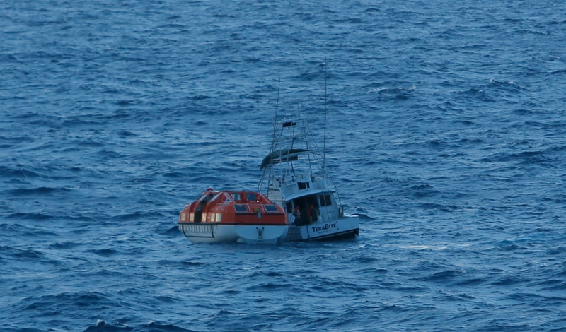 Dream Rescue1