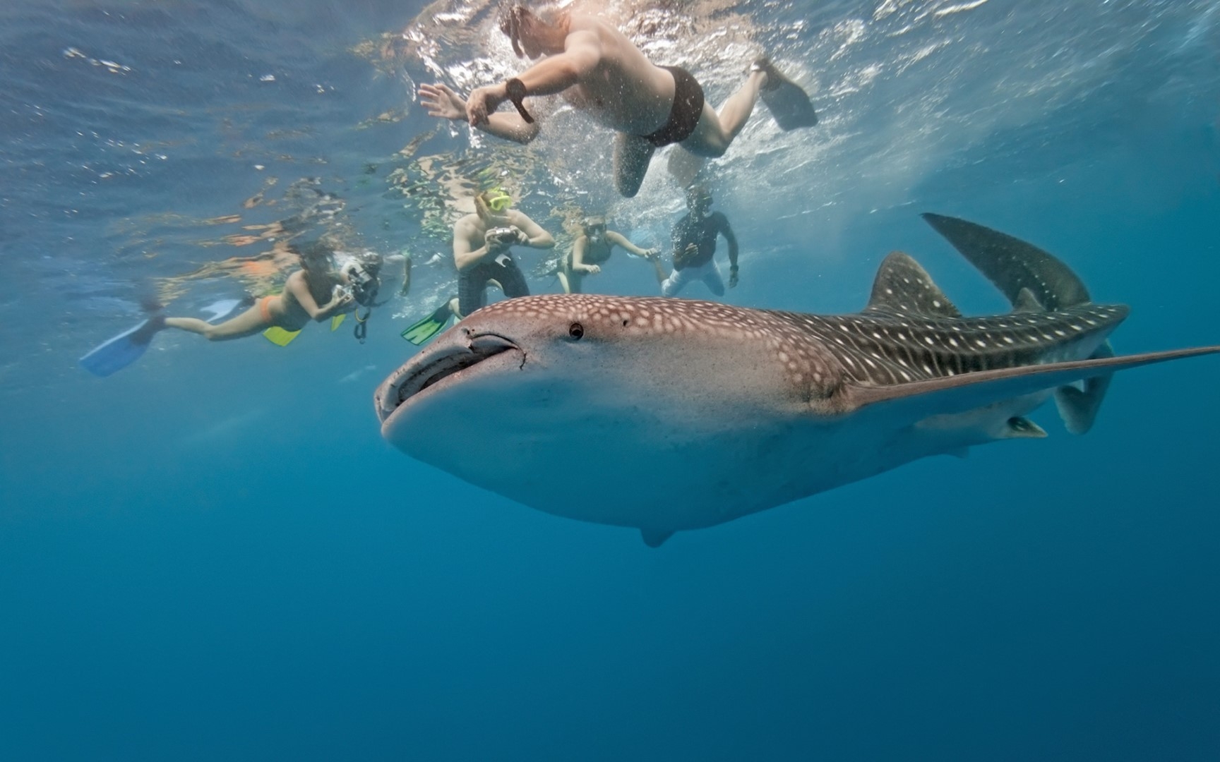 Cozumel Plus2