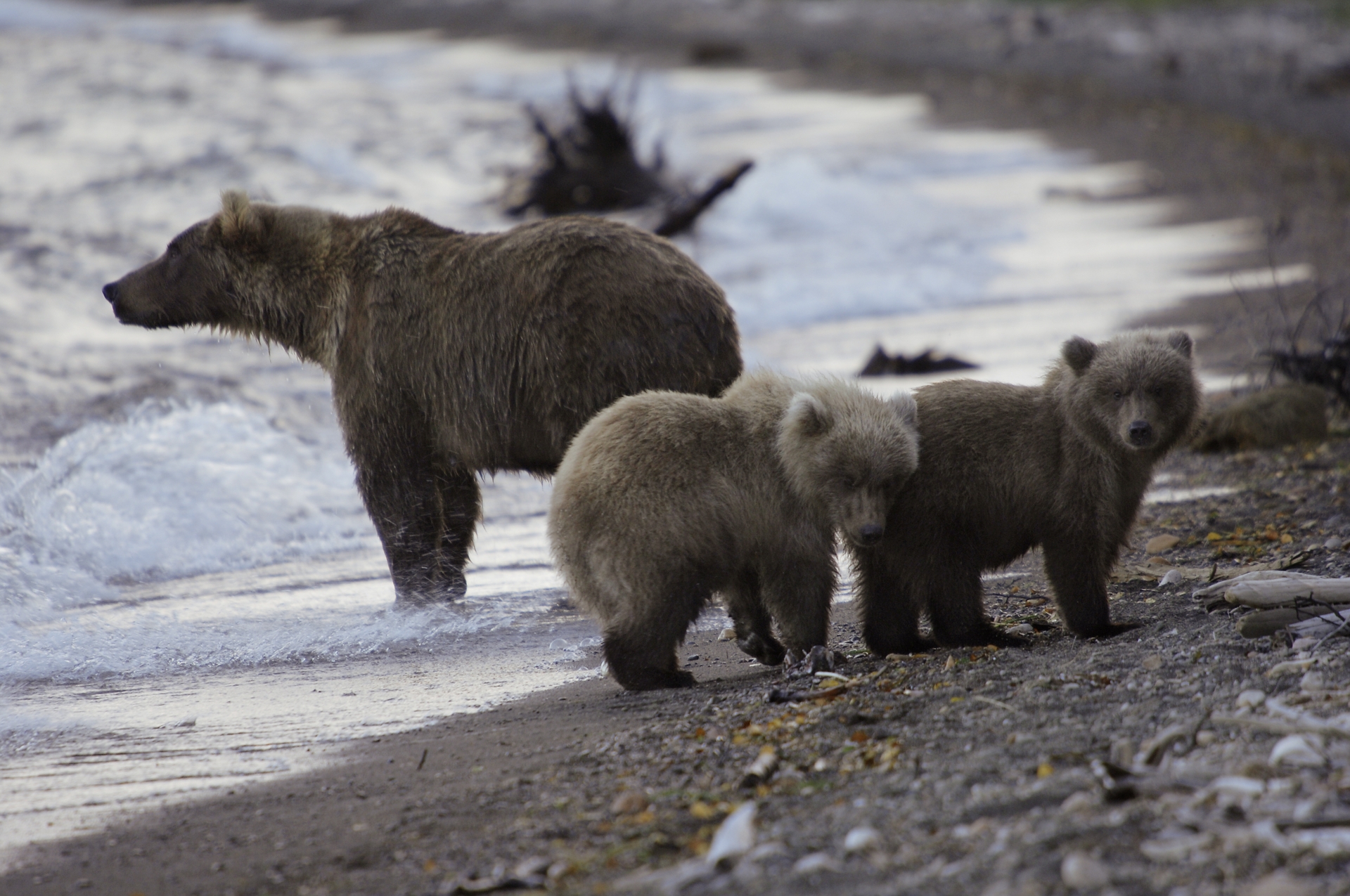 alaska_0014
