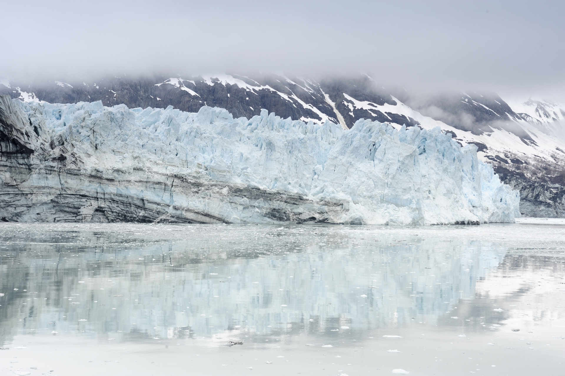 alaska_glacier_bay_051708_DSC0569