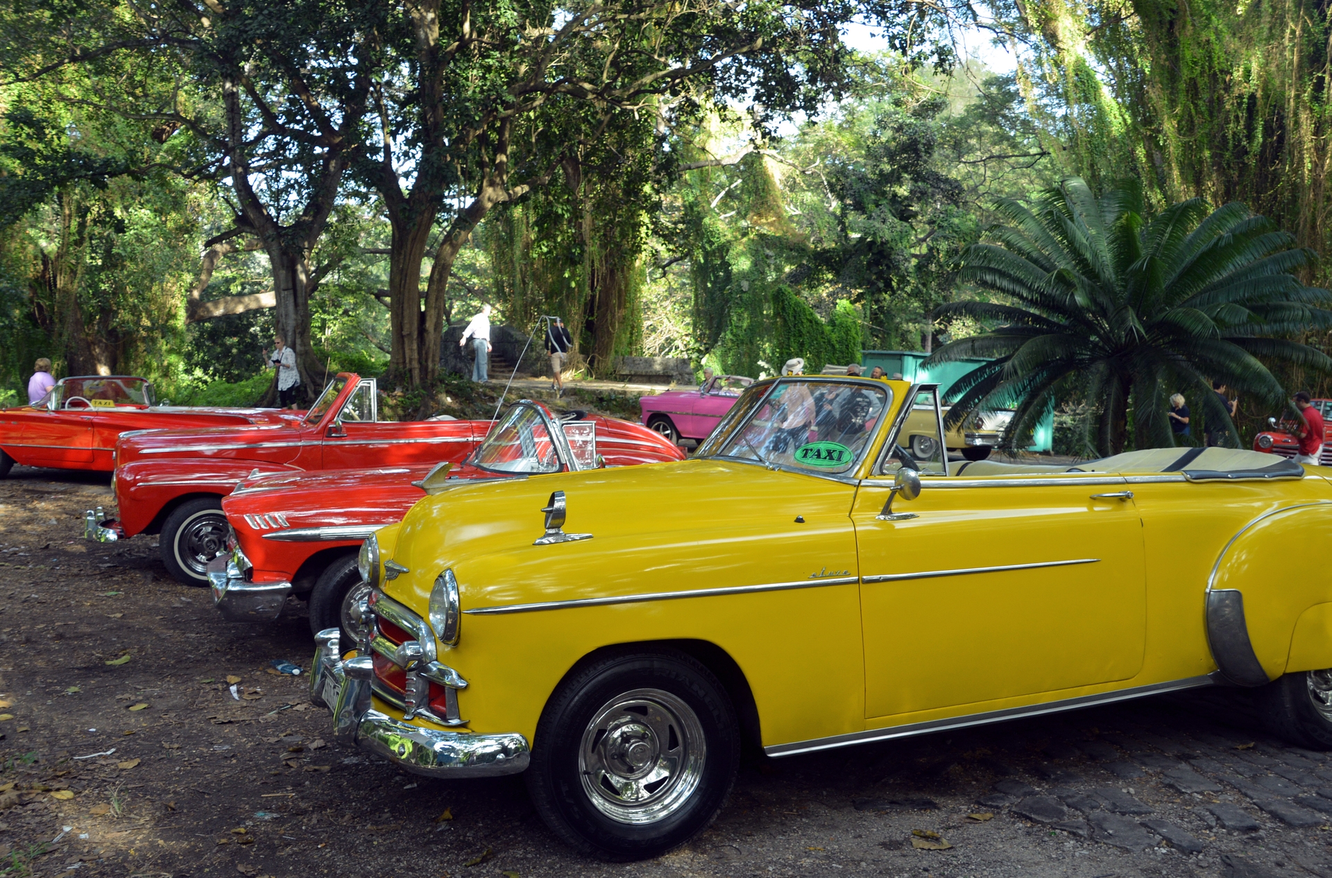 Classic car parade, Havana, Cuba
