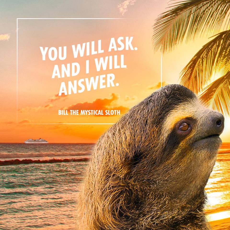 Carnival Sloth