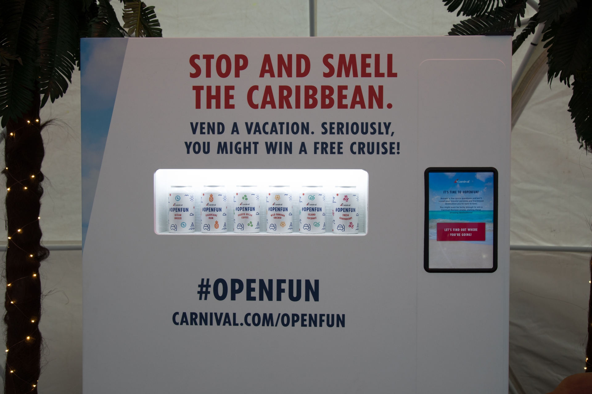 EA6A9411